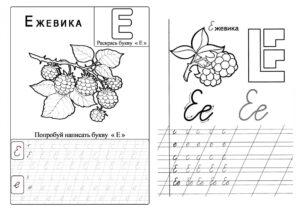 Прописи буква Е — скачать и распечатать онлайн бесплатно