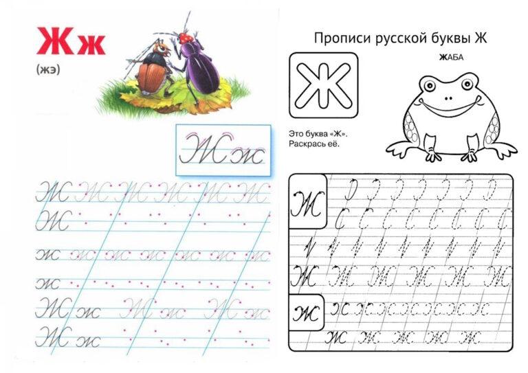 Прописи буква Ж — скачать и распечатать онлайн бесплатно